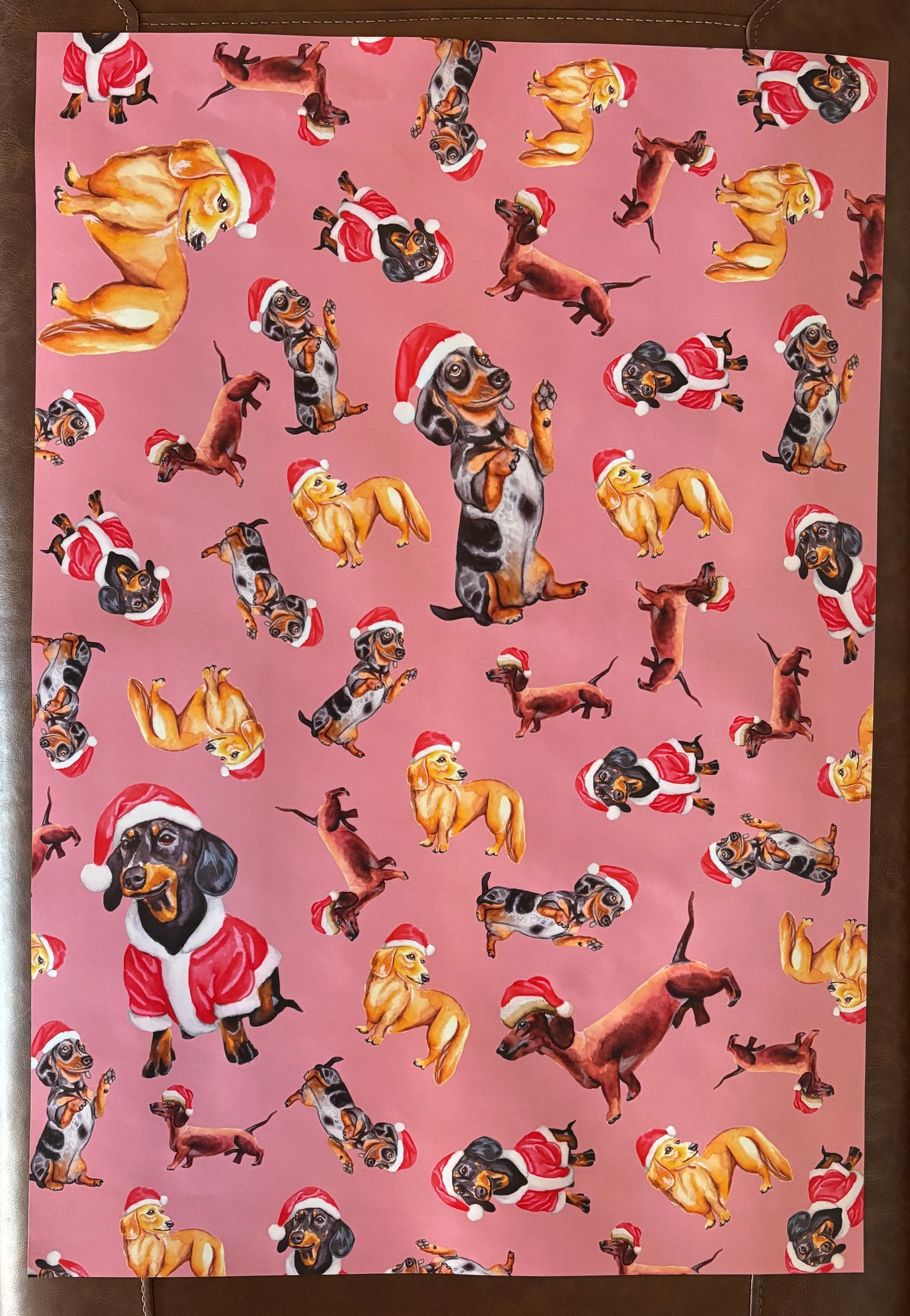 Dashing Dachshunds